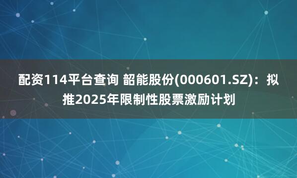配资114平台查询 韶能股份(000601.SZ)：拟推2025年限制性股票激励计划